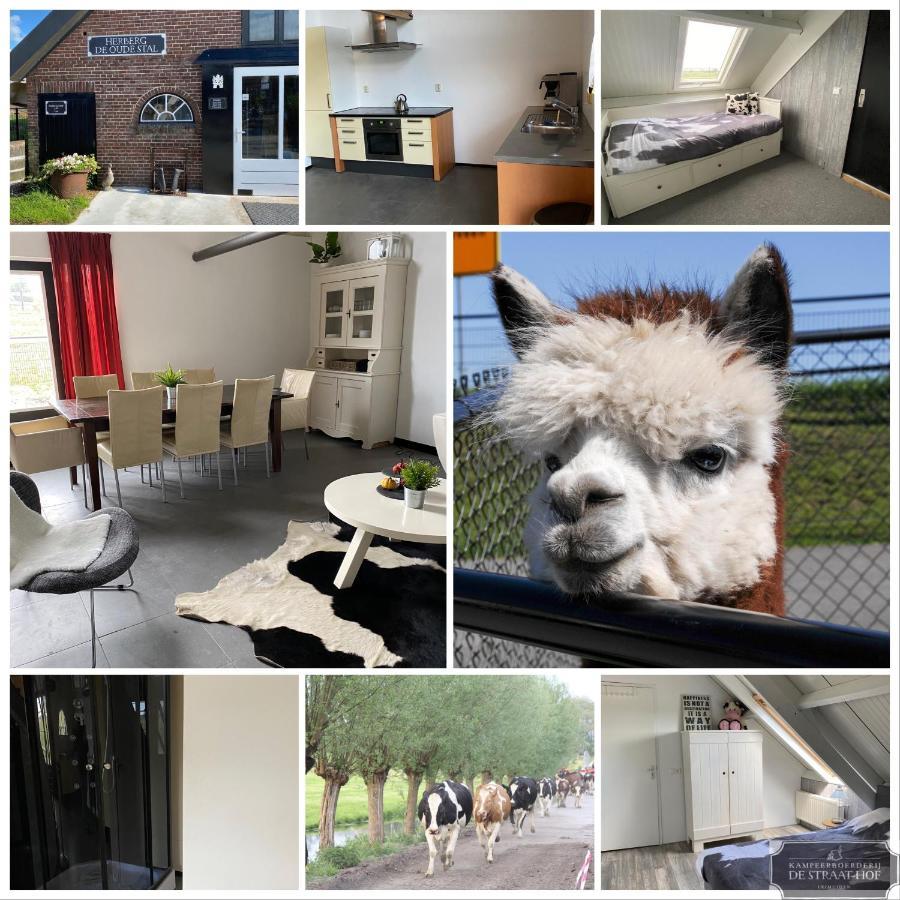 Bed and Breakfast Herberg Boerderij De Straat-Hof Leimuiden Экстерьер фото
