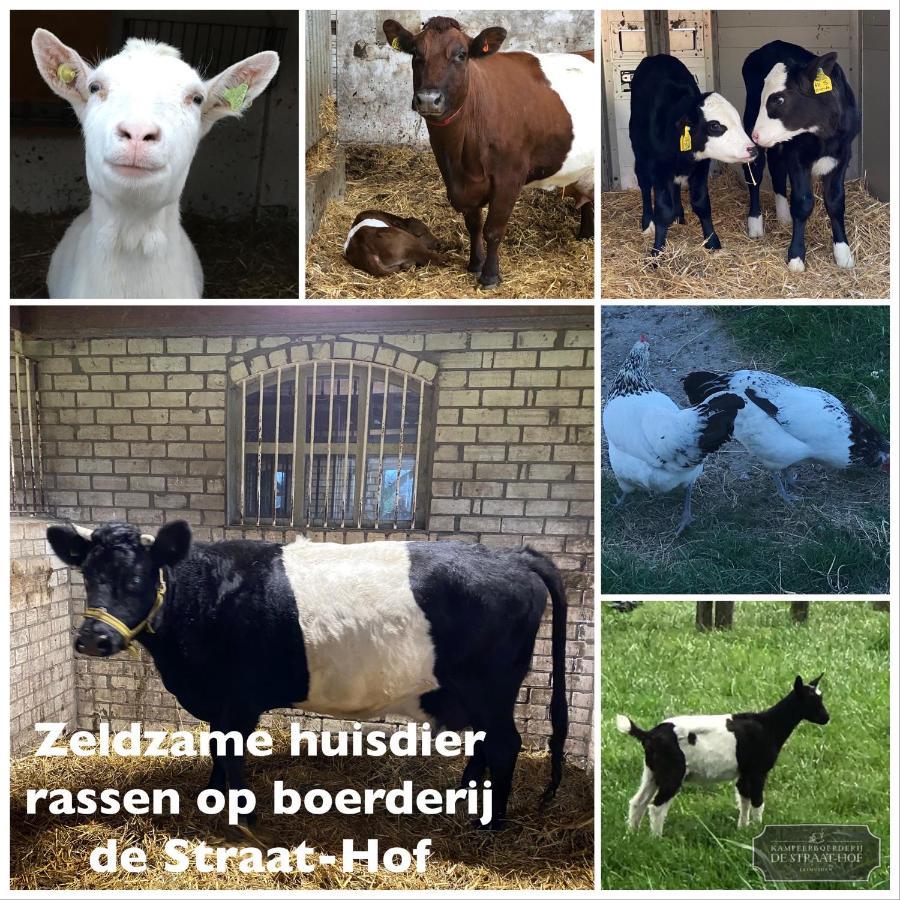 Bed and Breakfast Herberg Boerderij De Straat-Hof Leimuiden Экстерьер фото